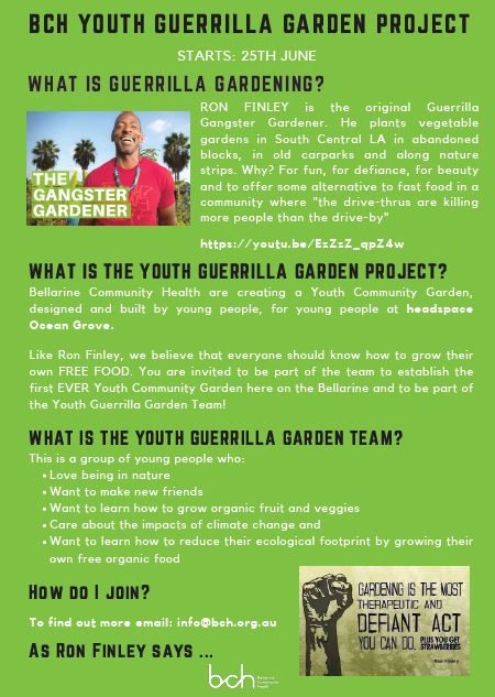 Youth Guerrilla Garden Project info
